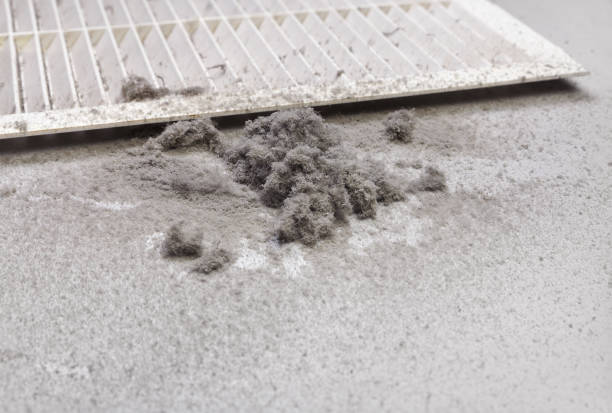 Best Best Air Duct Cleaning Company  in Mullica Hill, NJ