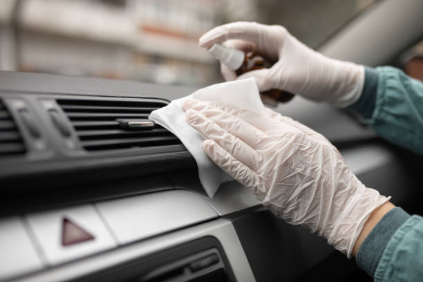 Best Air Duct Mold Removal  in Mullica Hill, NJ