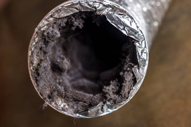 Best Best Air Duct Cleaning Near Me  in Mullica Hill, NJ